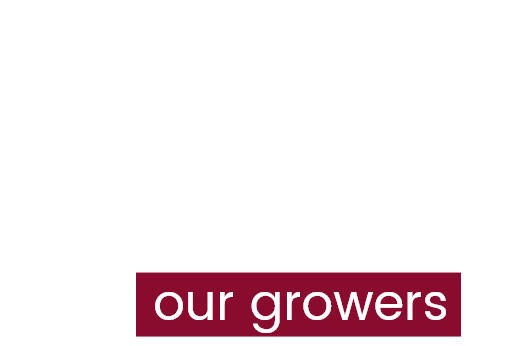 Meet our growers